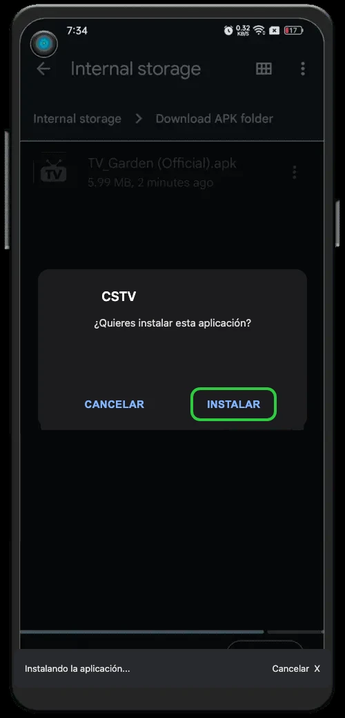 Instalar y abrir CSTV
